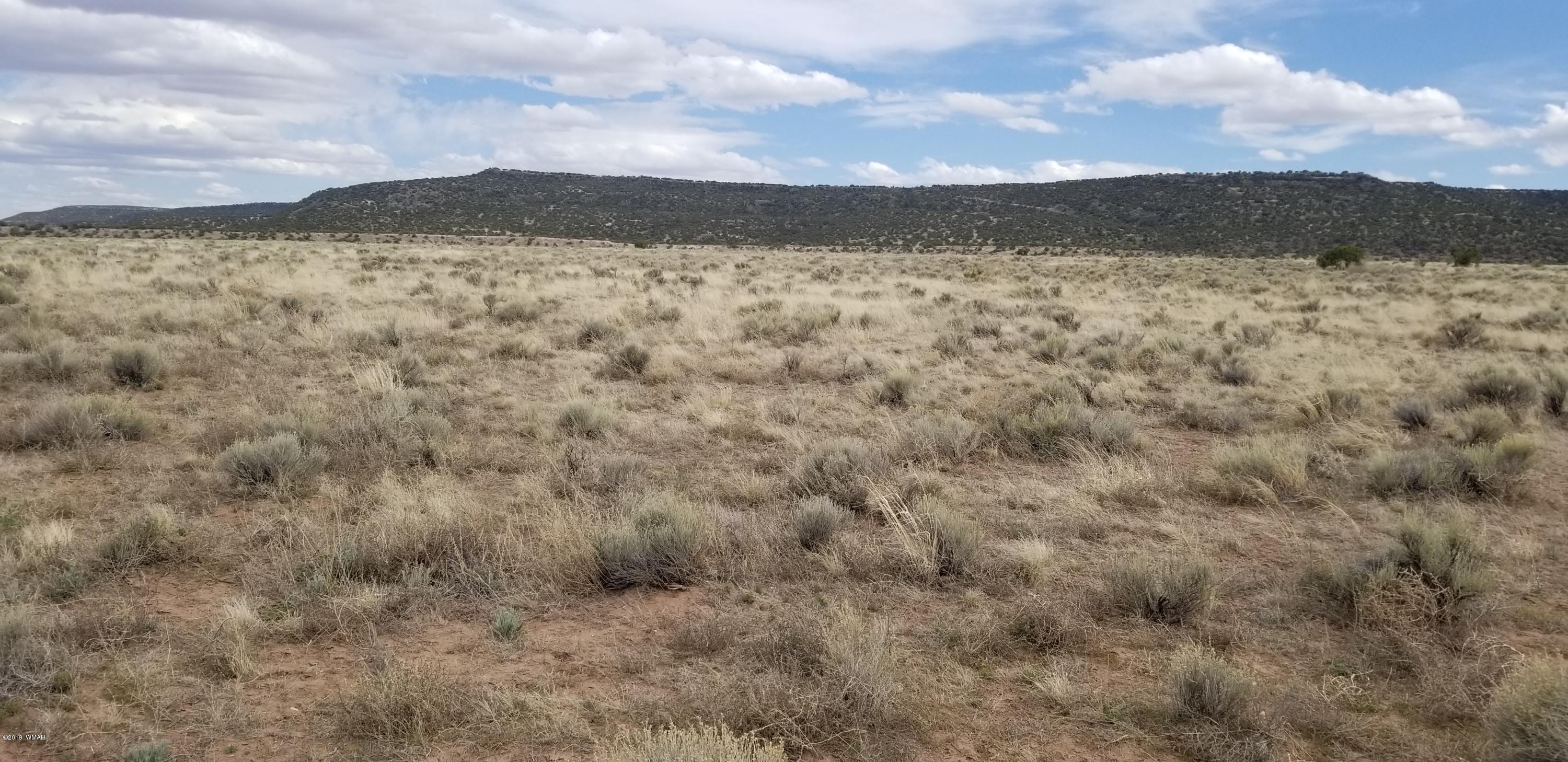St-johns Az 85936 Ranch St. Johns, AZ 85936 - Photo 3 of 6