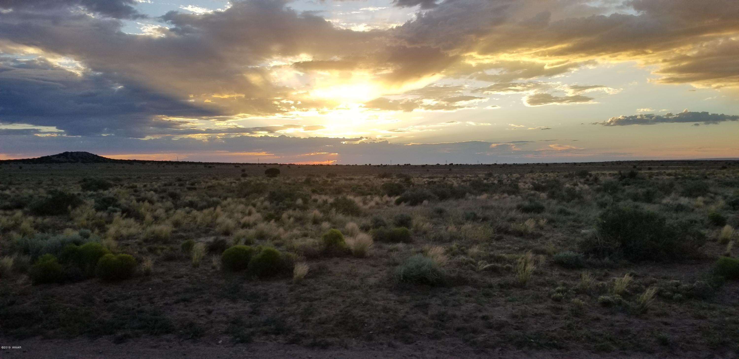St-johns Az 85936 Ranch St. Johns, AZ 85936 - Photo 6 of 6
