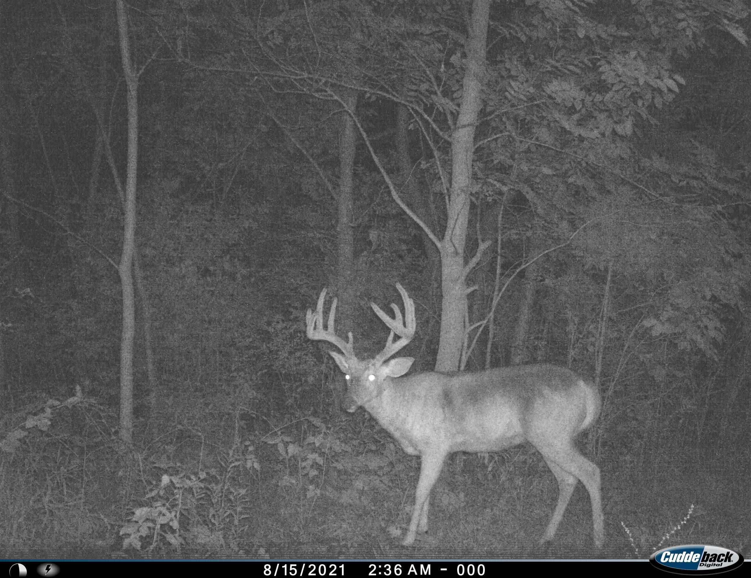 Tbd Miche Road Pearl City, IL 61062 - Photo 12 of 64