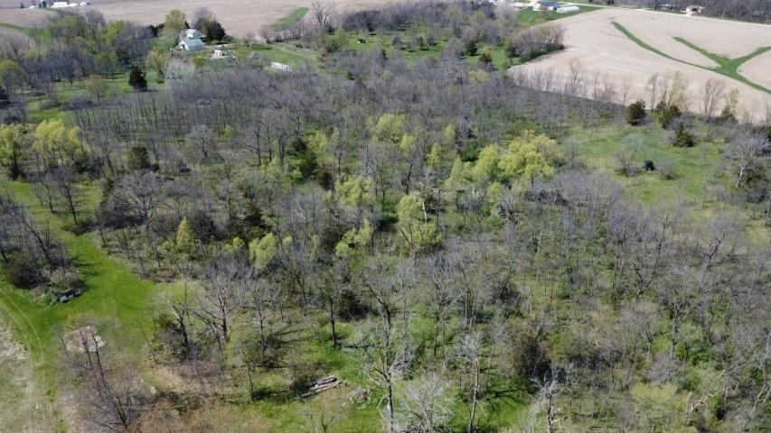 Tbd Miche Road Pearl City, IL 61062 - Photo 34 of 64 a view of a lush green forest with lots of trees