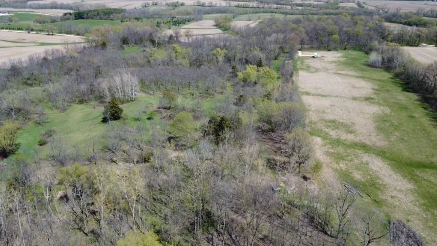 Tbd Miche Road Pearl City, IL 61062 - Photo 42 of 64 a view of a forest filled with trees