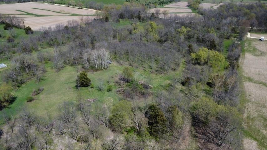 Tbd Miche Road Pearl City, IL 61062 - Photo 43 of 64 a view of a forest with a street
