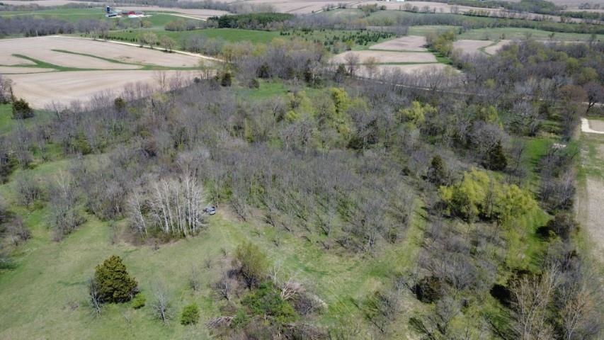 Tbd Miche Road Pearl City, IL 61062 - Photo 44 of 64 a view of a lake with a yard and large trees
