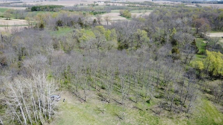 Tbd Miche Road Pearl City, IL 61062 - Photo 46 of 64