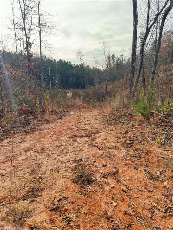 Tbd Old Railroad Grade Road Thurmond, NC 28683 - Photo 20 of 26