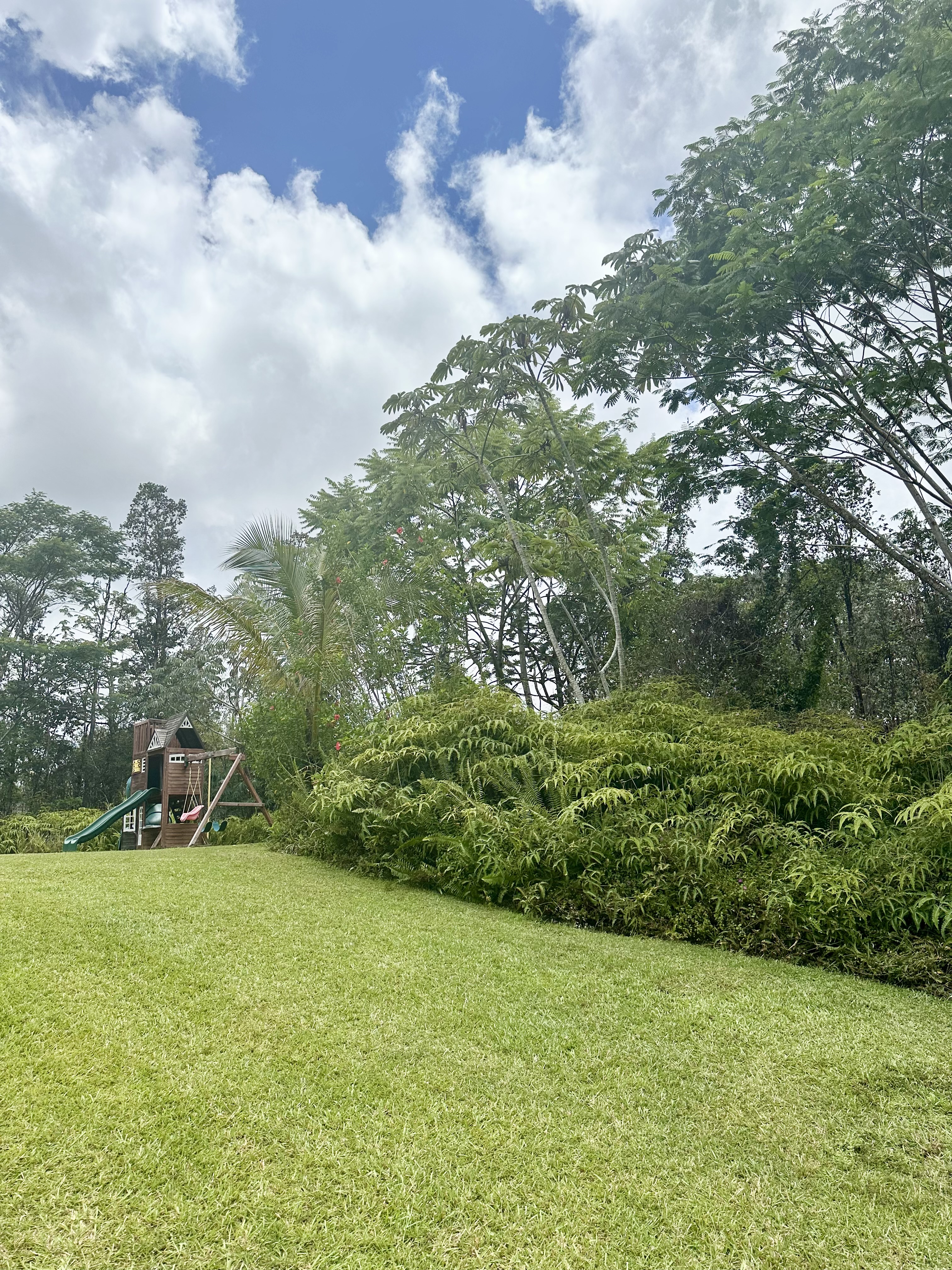 16-1520 Moho Road Mountain View, HI 96771 - Photo 4 of 6