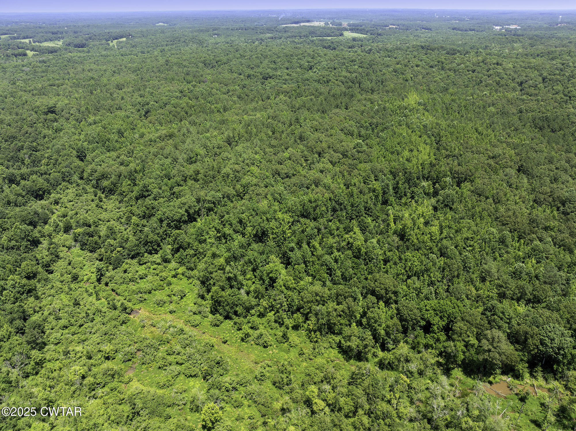 0 Jones Road Lexington, TN 38351 - Photo 12 of 28 a view of a green field with lots of bushes