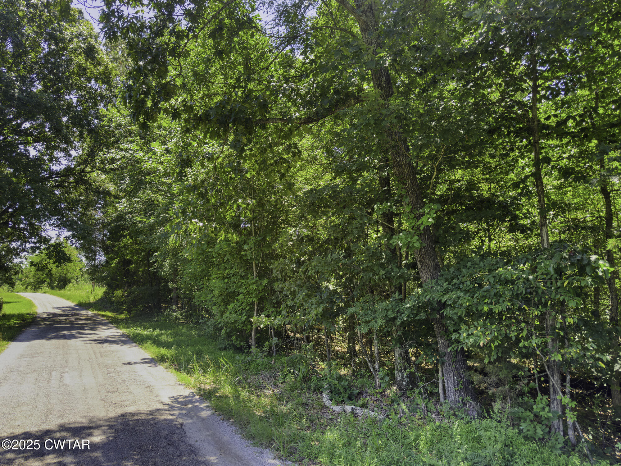 0 Jones Road Lexington, TN 38351 - Photo 13 of 28 a view of a yard with plants and trees