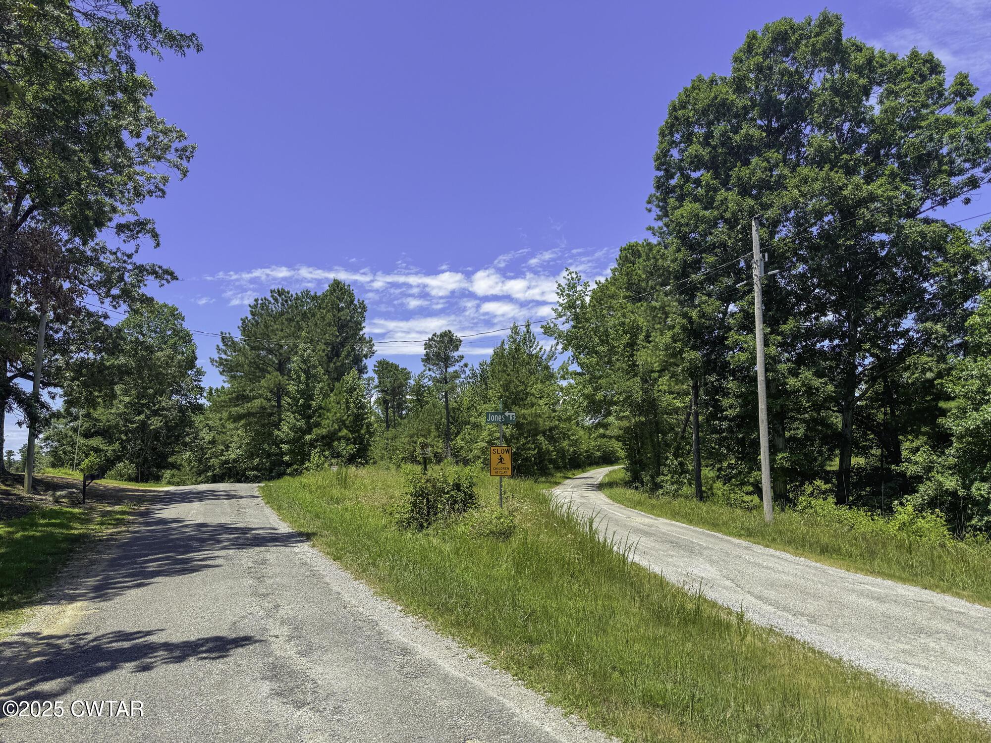 0 Jones Road Lexington, TN 38351 - Photo 16 of 28 IMG_3536