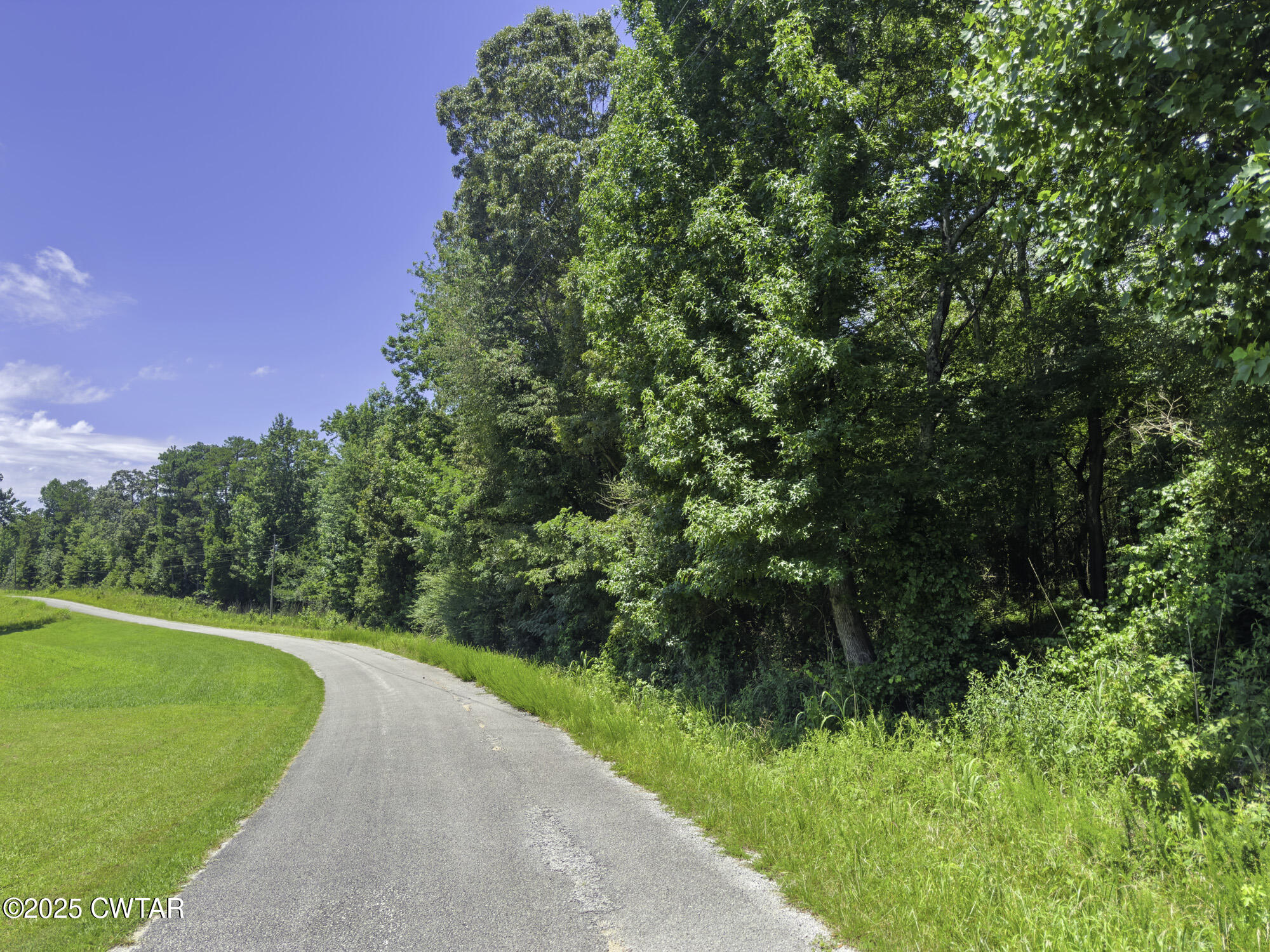 0 Jones Road Lexington, TN 38351 - Photo 18 of 28 a view of a swimming pool with a yard