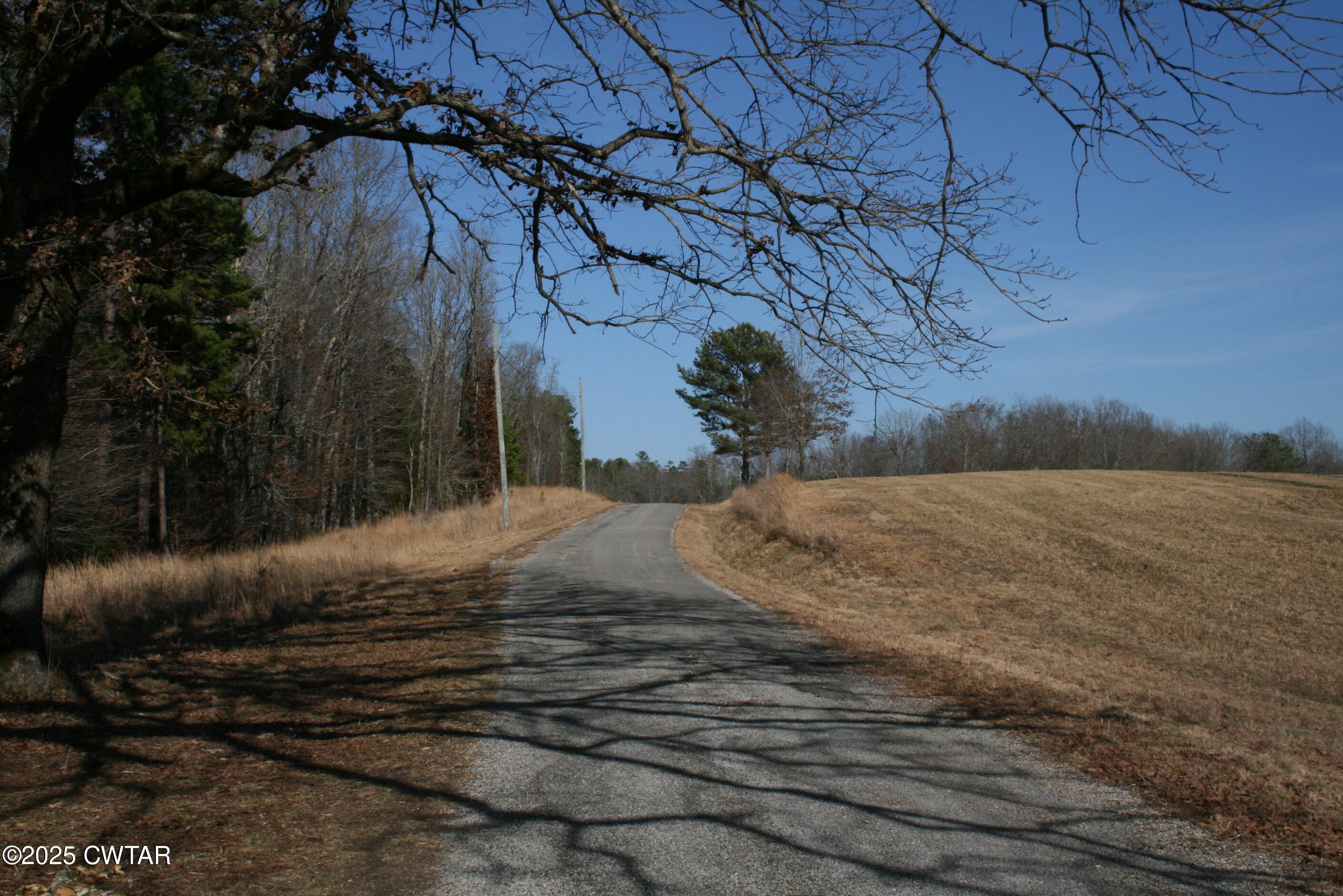 0 Jones Road Lexington, TN 38351 - Photo 24 of 28 a view of a backyard of the house