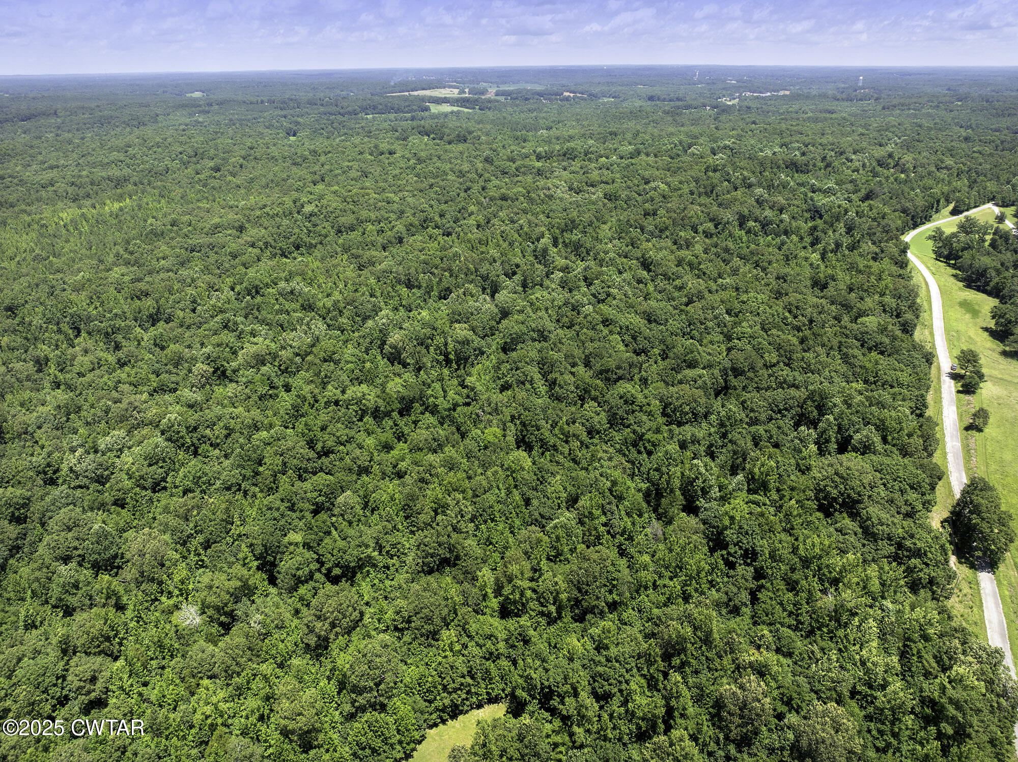 0 Jones Road Lexington, TN 38351 - Photo 3 of 28 a view of a green field with lots of bushes