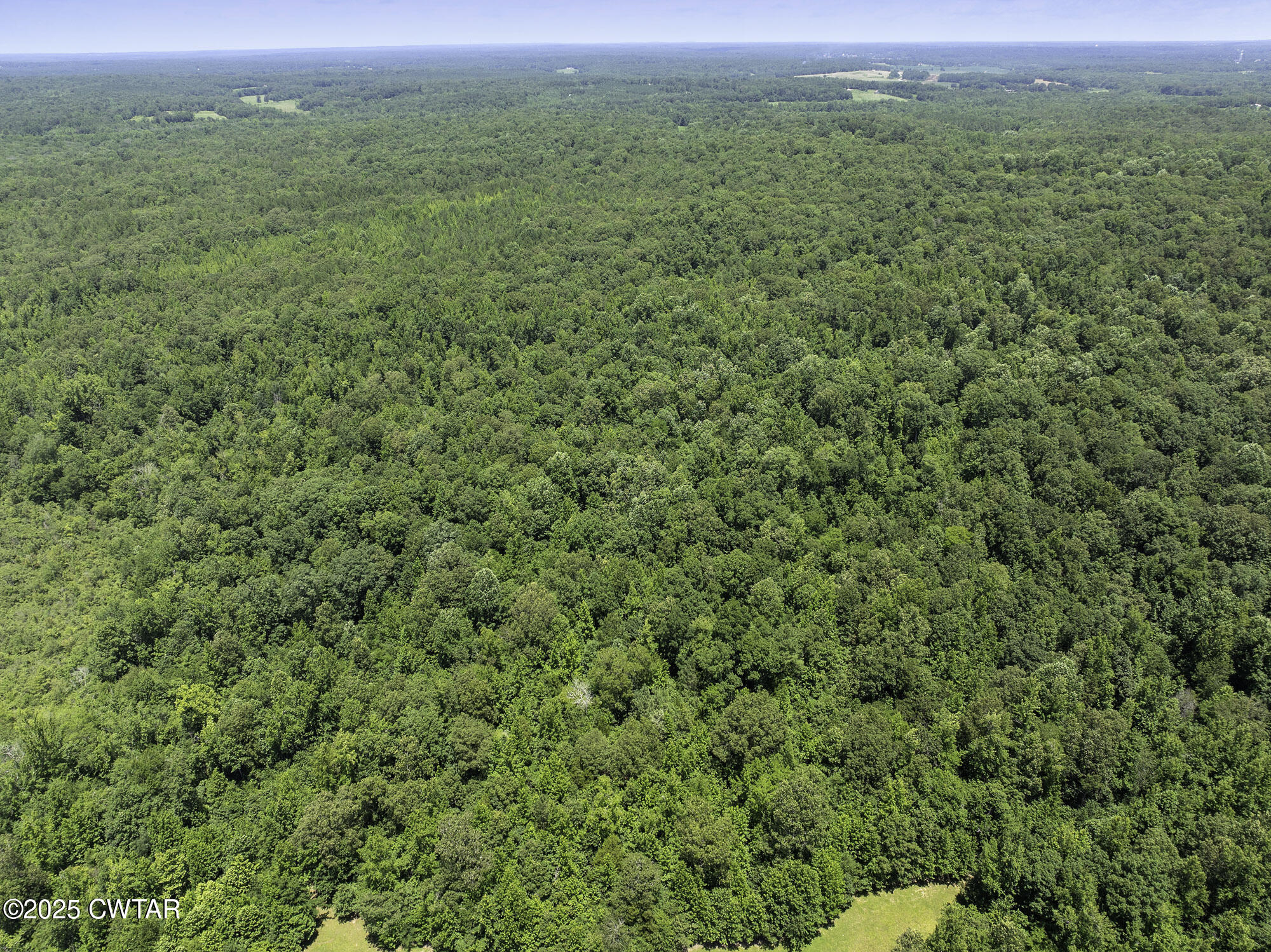 0 Jones Road Lexington, TN 38351 - Photo 4 of 28 a view of a field with an outdoor space