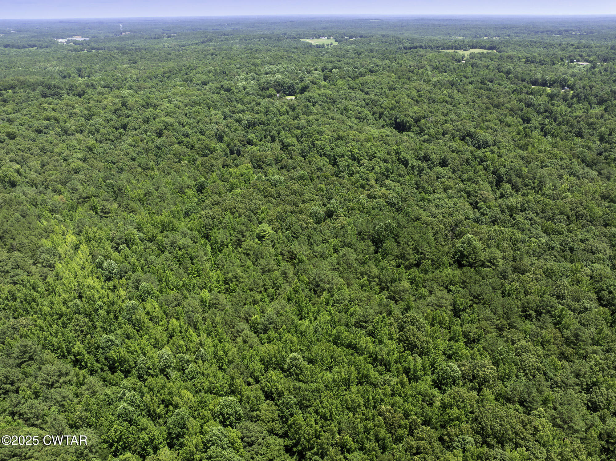 0 Jones Road Lexington, TN 38351 - Photo 8 of 28 a view of a lush green space