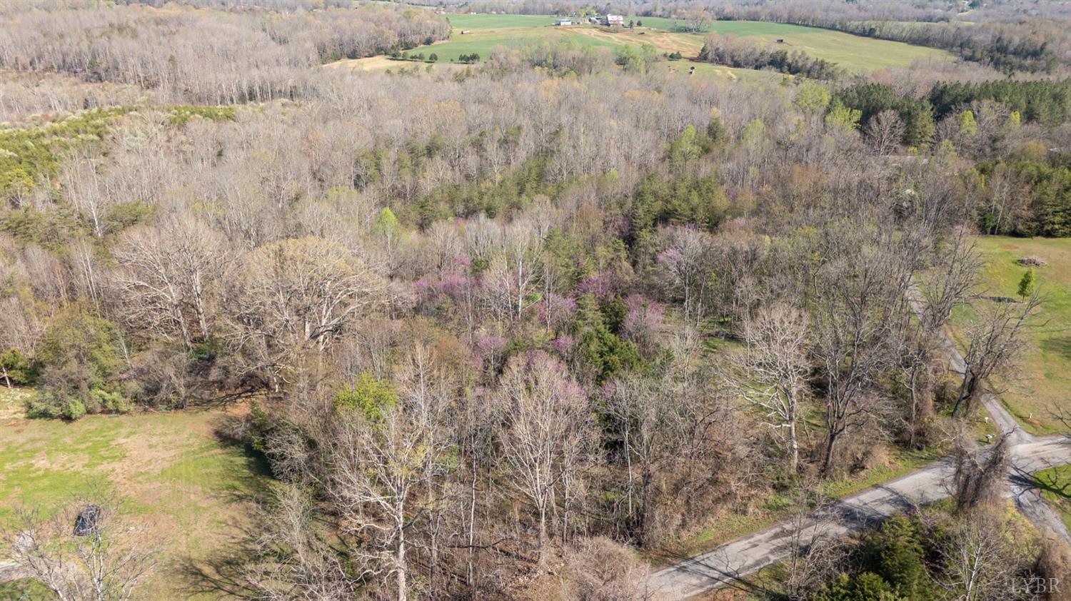 0 Goggin Ford Road Bedford, VA 24523 - Photo 12 of 22