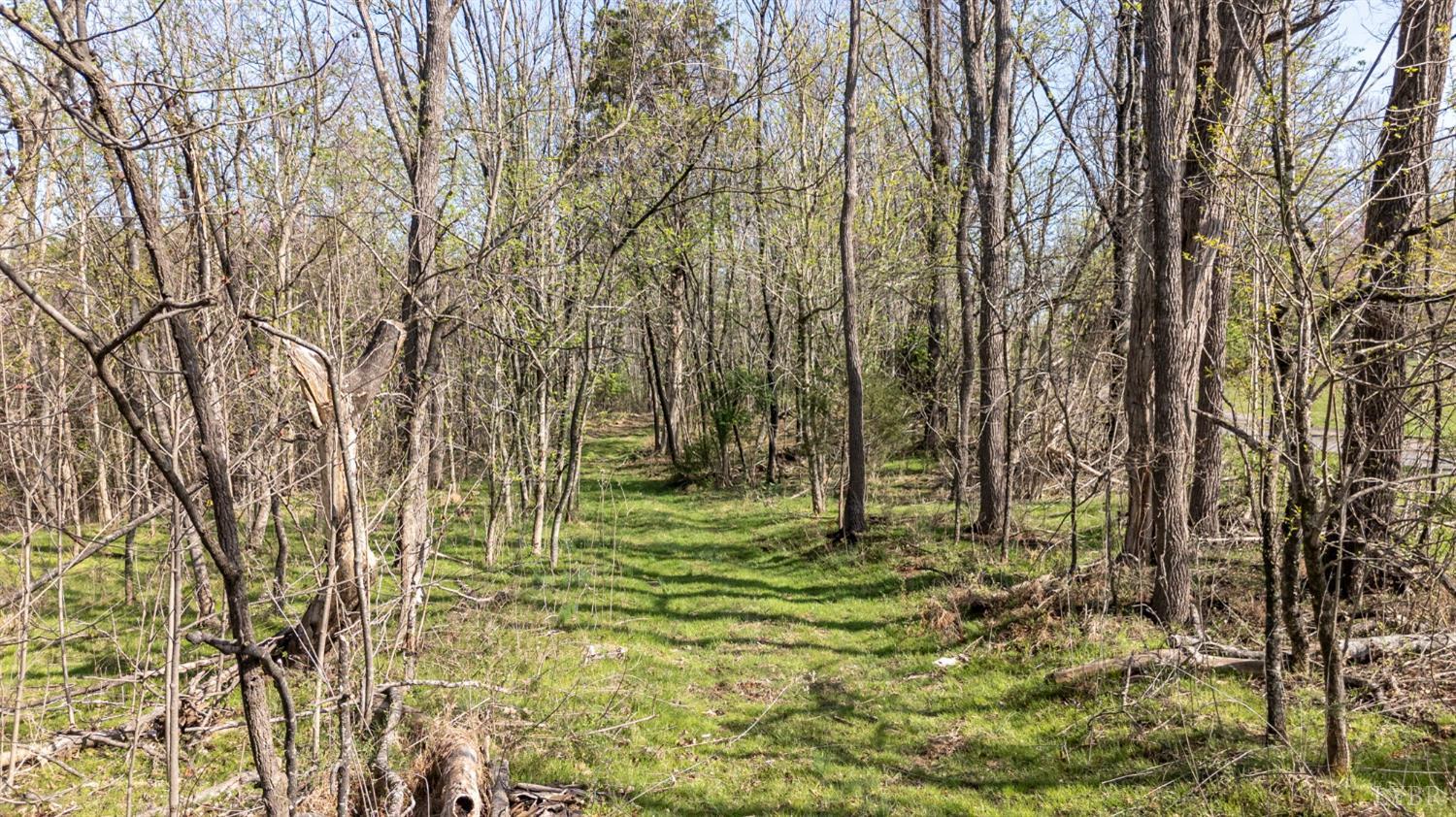 0 Goggin Ford Road Bedford, VA 24523 - Photo 14 of 22