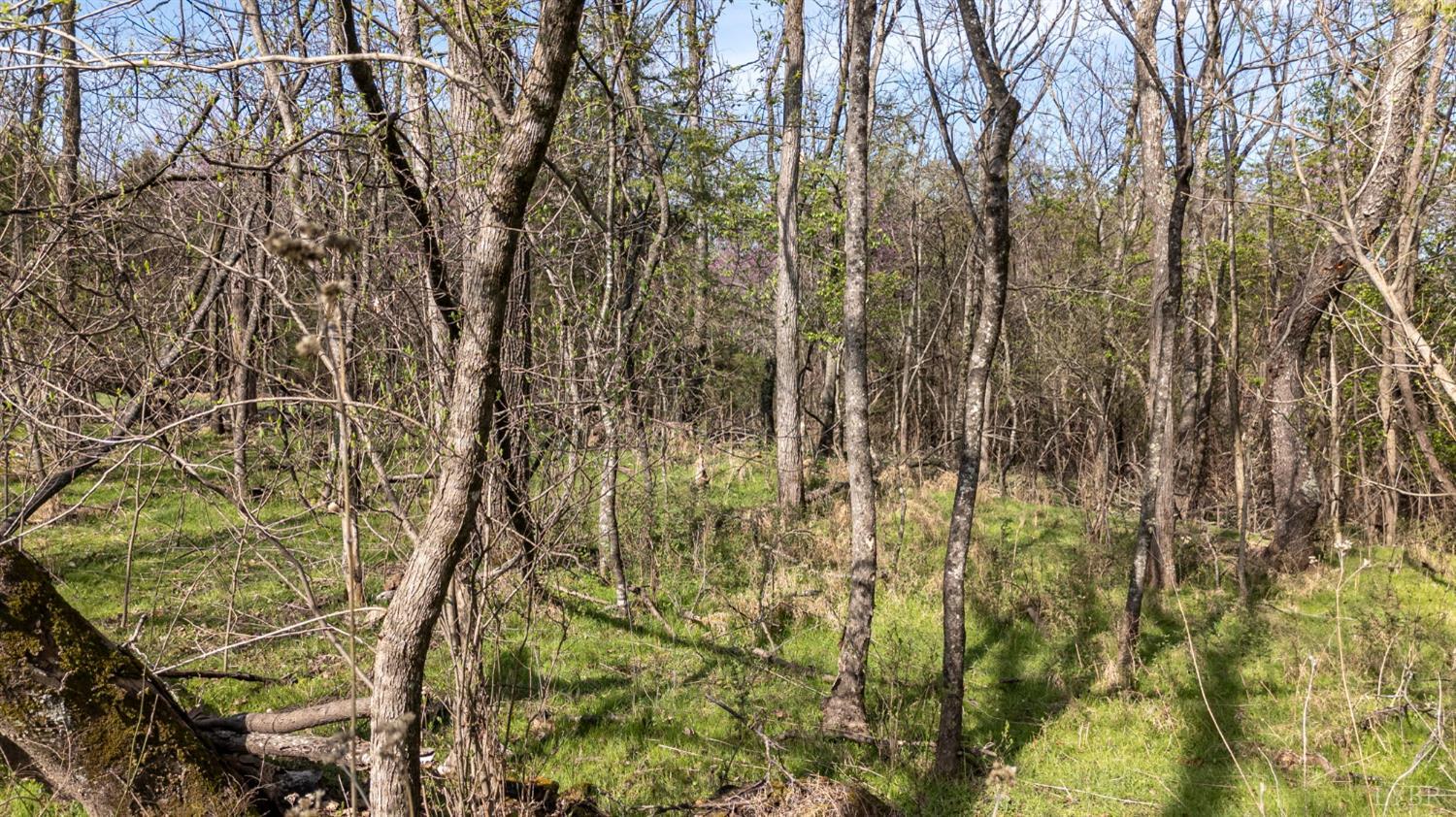 0 Goggin Ford Road Bedford, VA 24523 - Photo 15 of 22