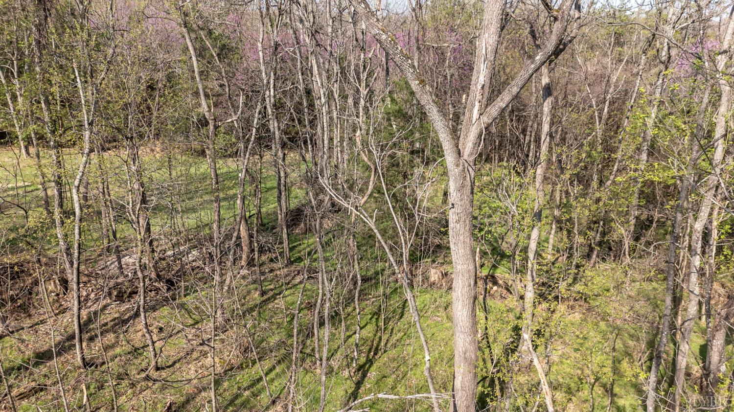 0 Goggin Ford Road Bedford, VA 24523 - Photo 17 of 22