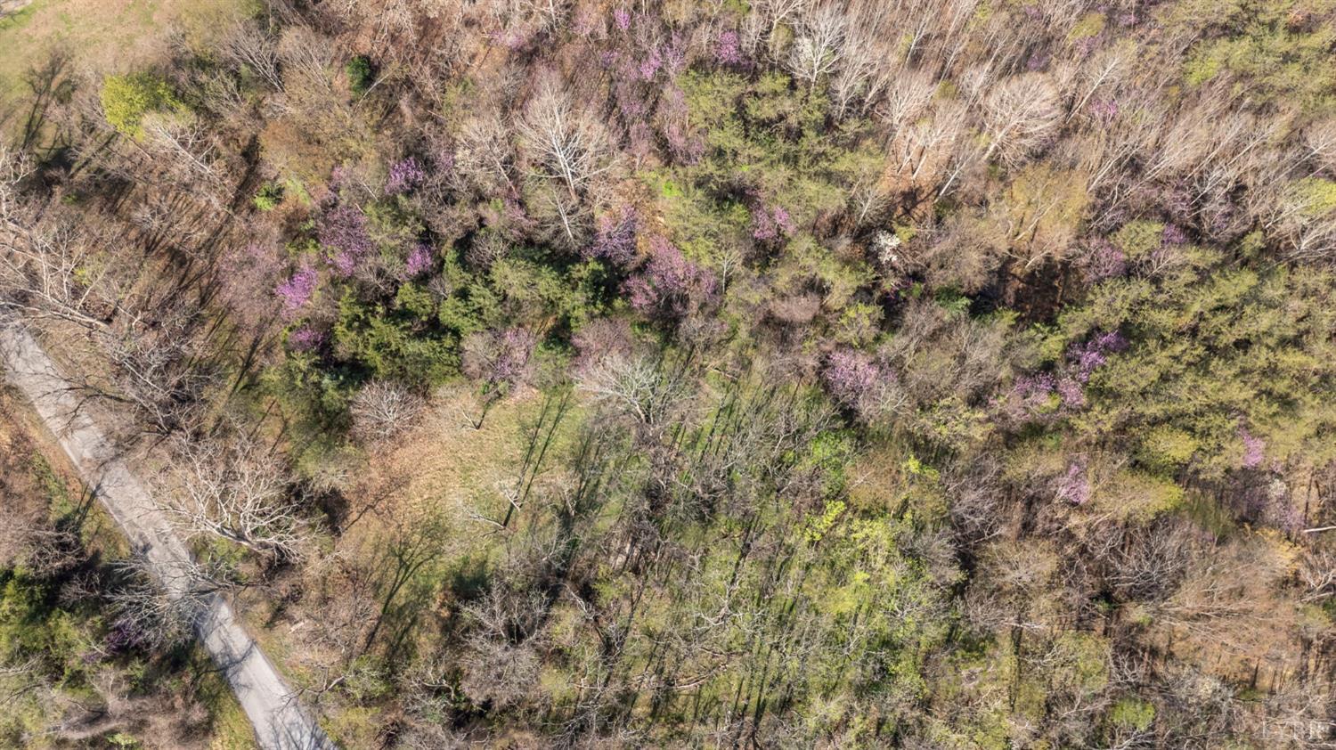 0 Goggin Ford Road Bedford, VA 24523 - Photo 18 of 22