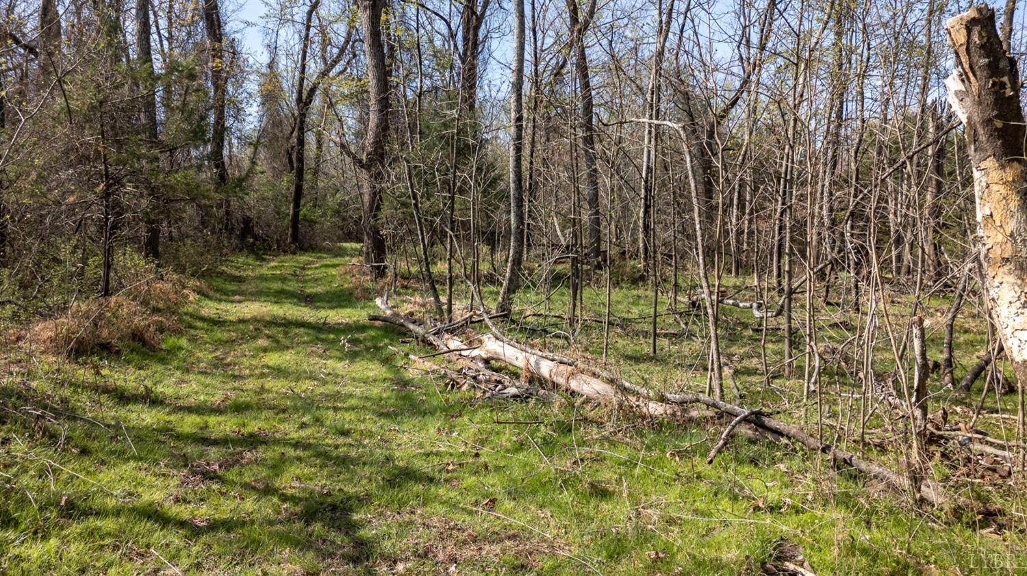 0 Goggin Ford Road Bedford, VA 24523 - Photo 20 of 25