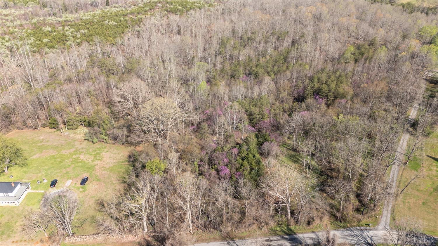 0 Goggin Ford Road Bedford, VA 24523 - Photo 2 of 22