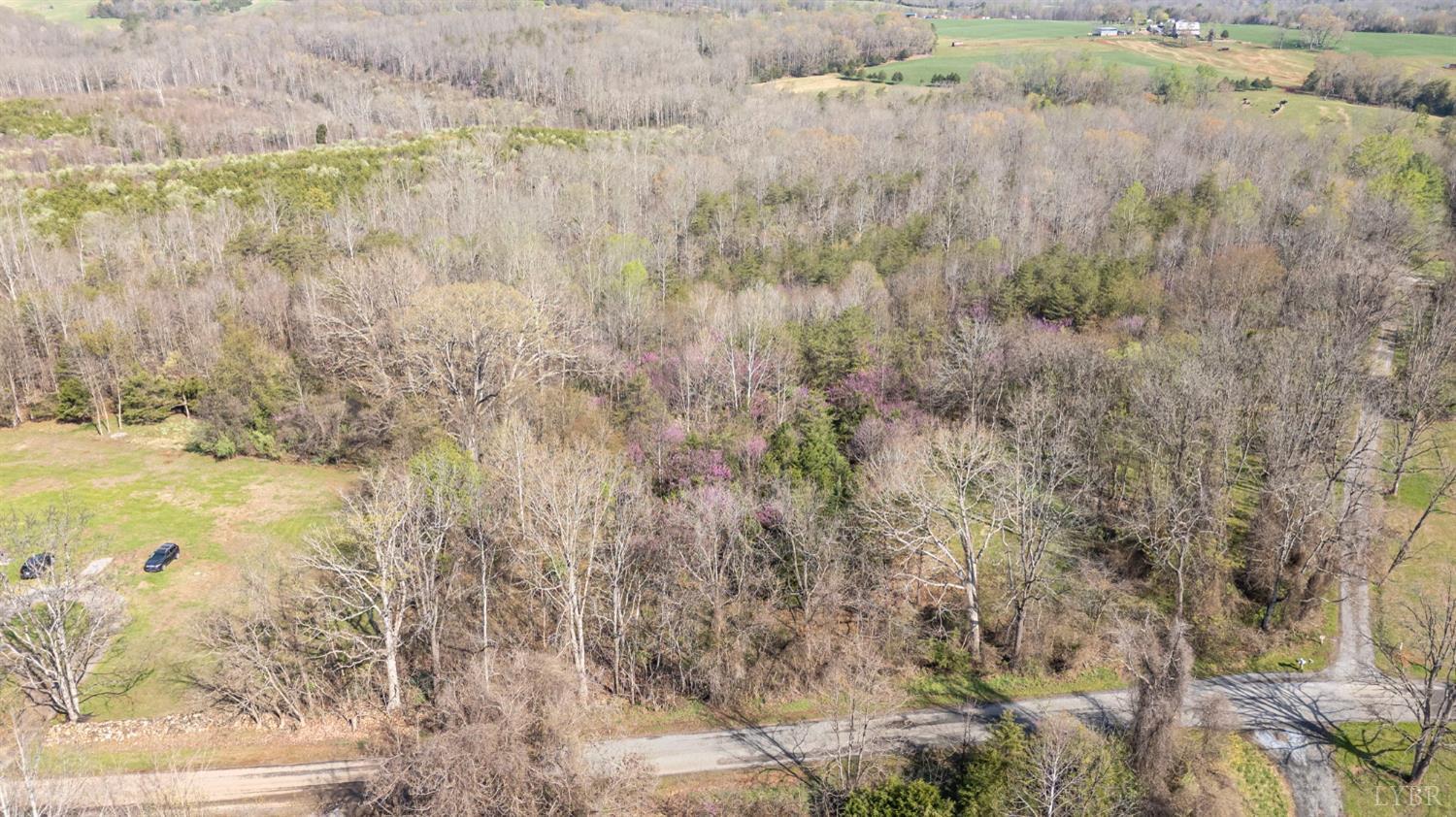 0 Goggin Ford Road Bedford, VA 24523 - Photo 2 of 25