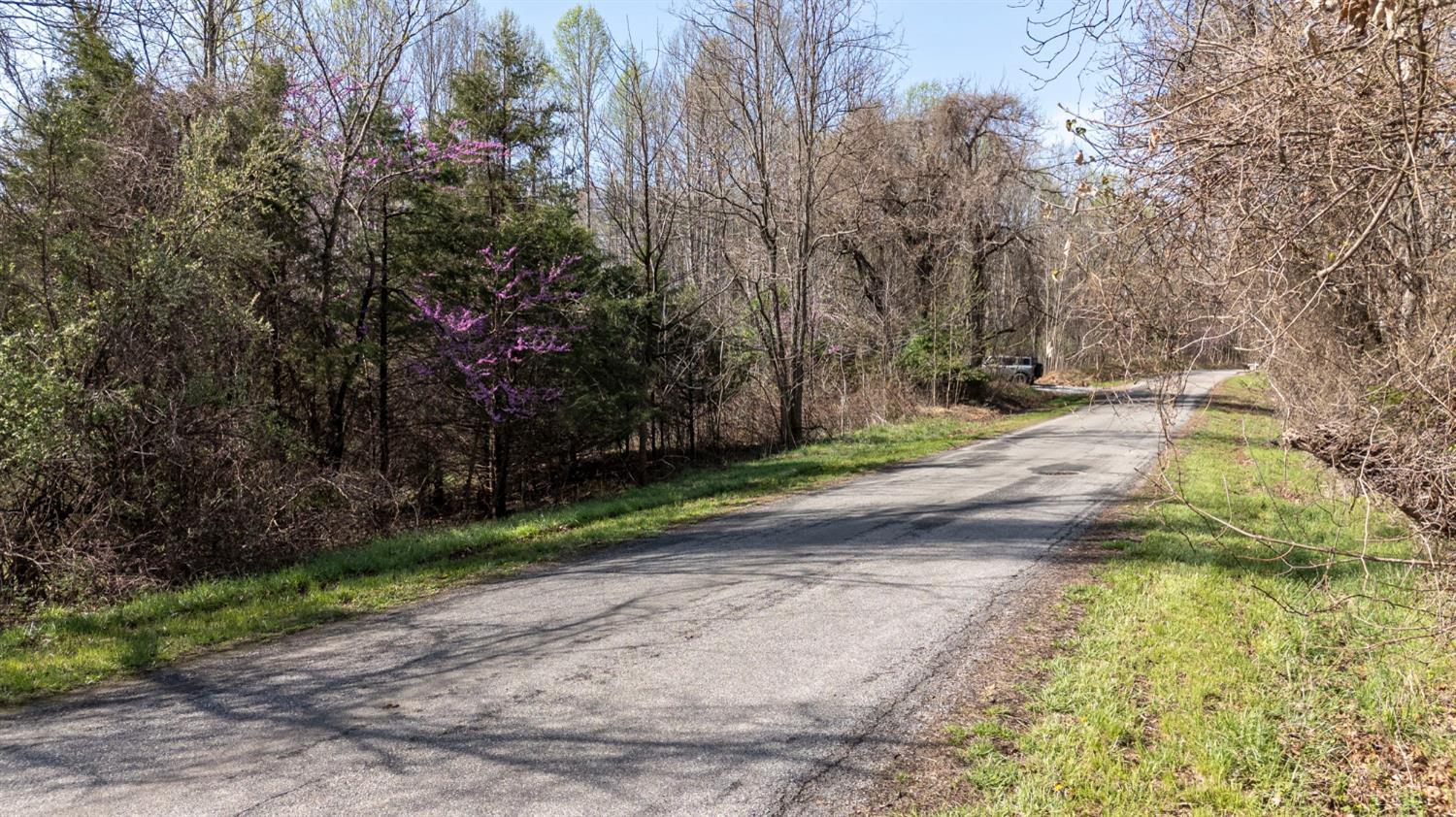 0 Goggin Ford Road Bedford, VA 24523 - Photo 21 of 22