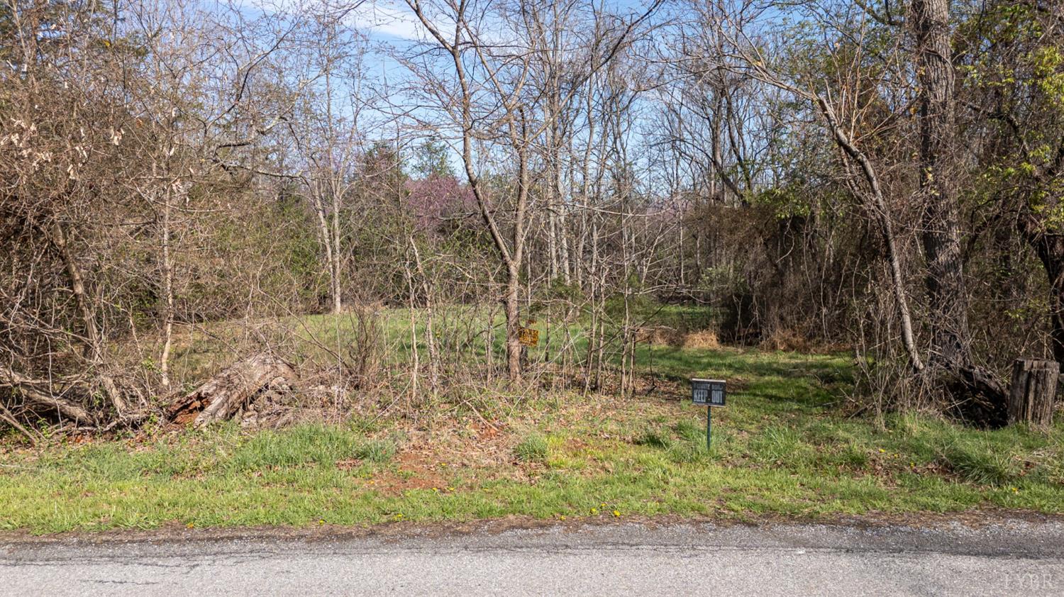 0 Goggin Ford Road Bedford, VA 24523 - Photo 3 of 22