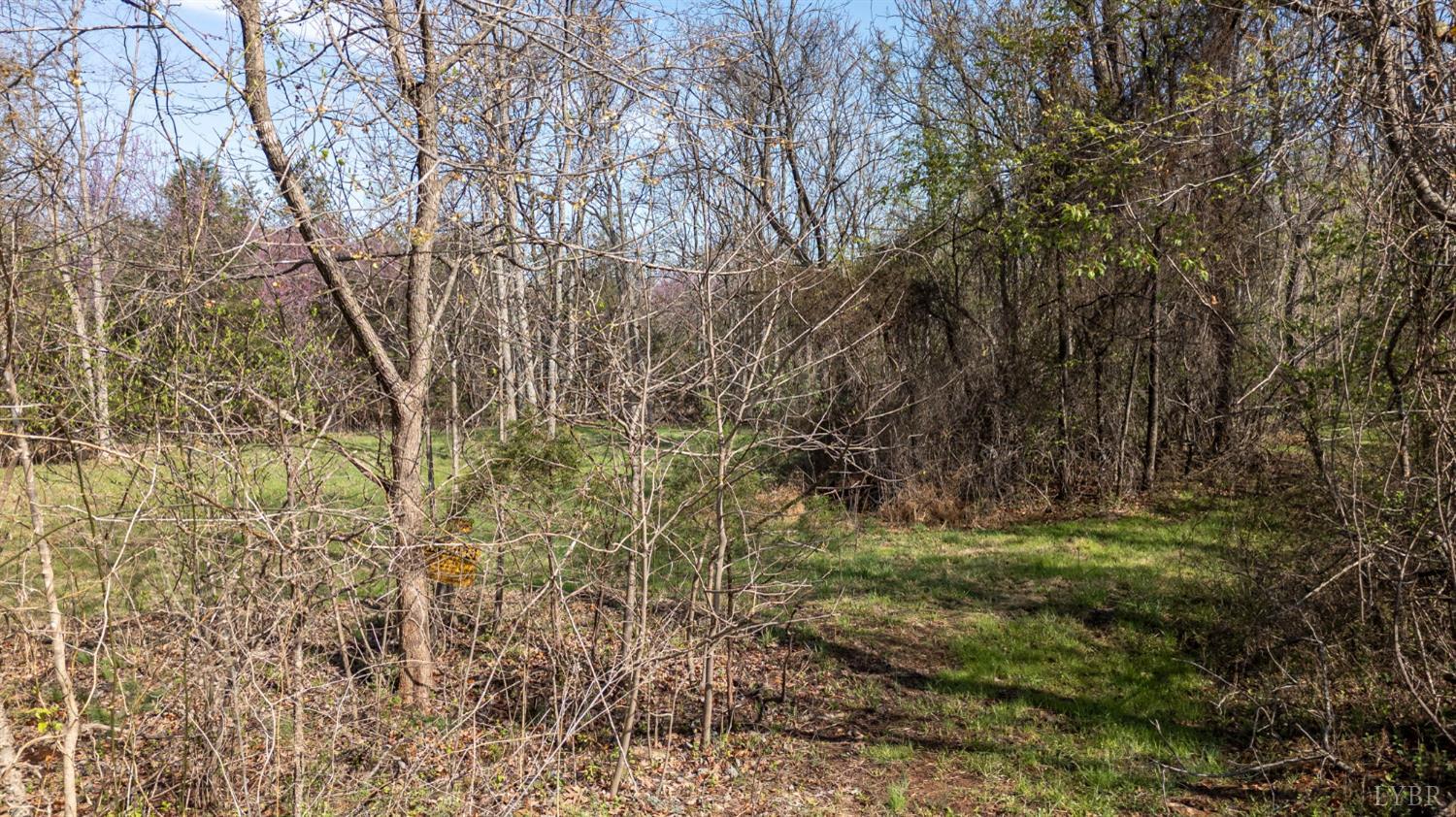 0 Goggin Ford Road Bedford, VA 24523 - Photo 4 of 22