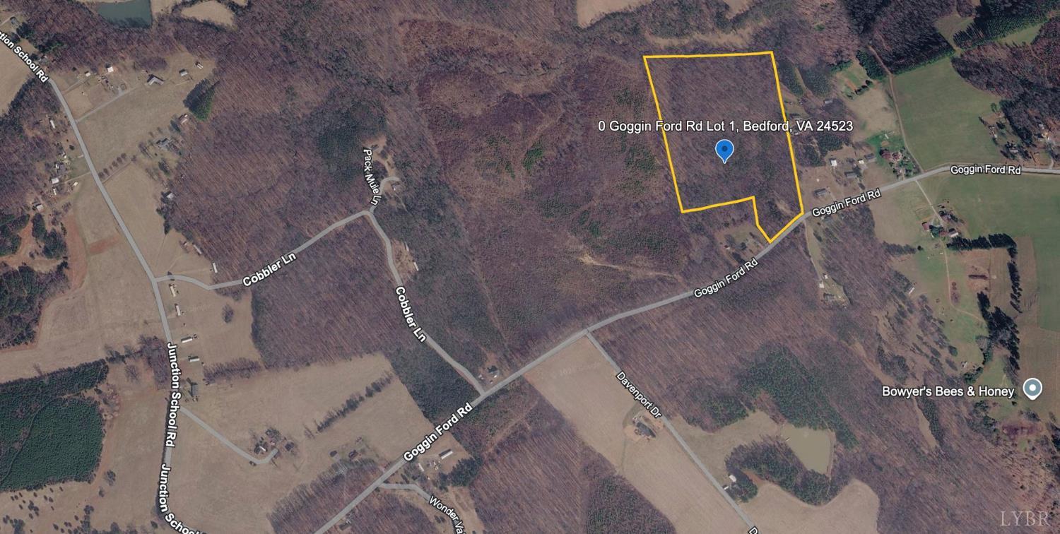 0 Goggin Ford Road Bedford, VA 24523 - Photo 4 of 25