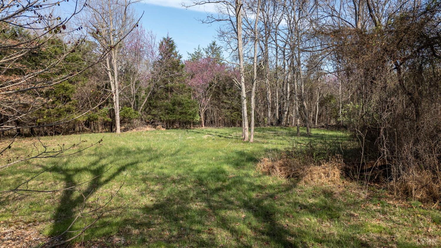 0 Goggin Ford Road Bedford, VA 24523 - Photo 5 of 22