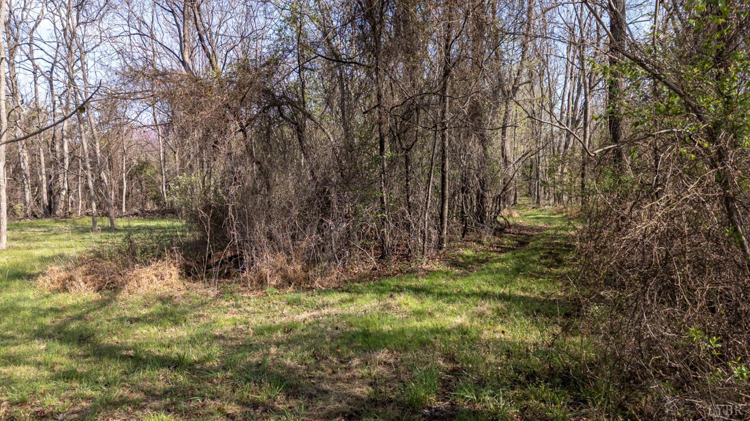 0 Goggin Ford Road Bedford, VA 24523 - Photo 6 of 22