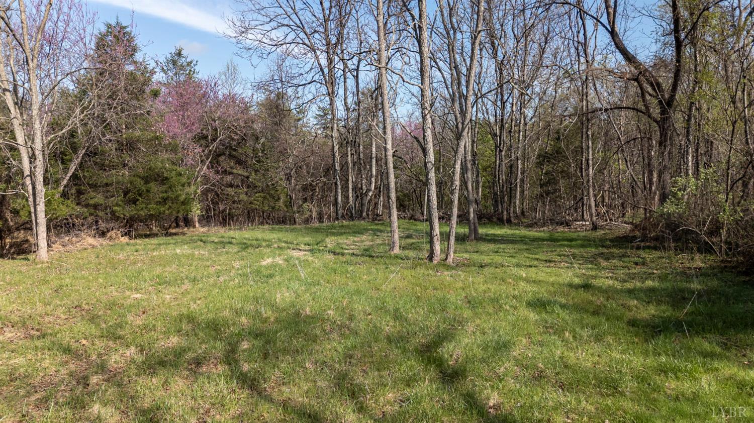 0 Goggin Ford Road Bedford, VA 24523 - Photo 8 of 22