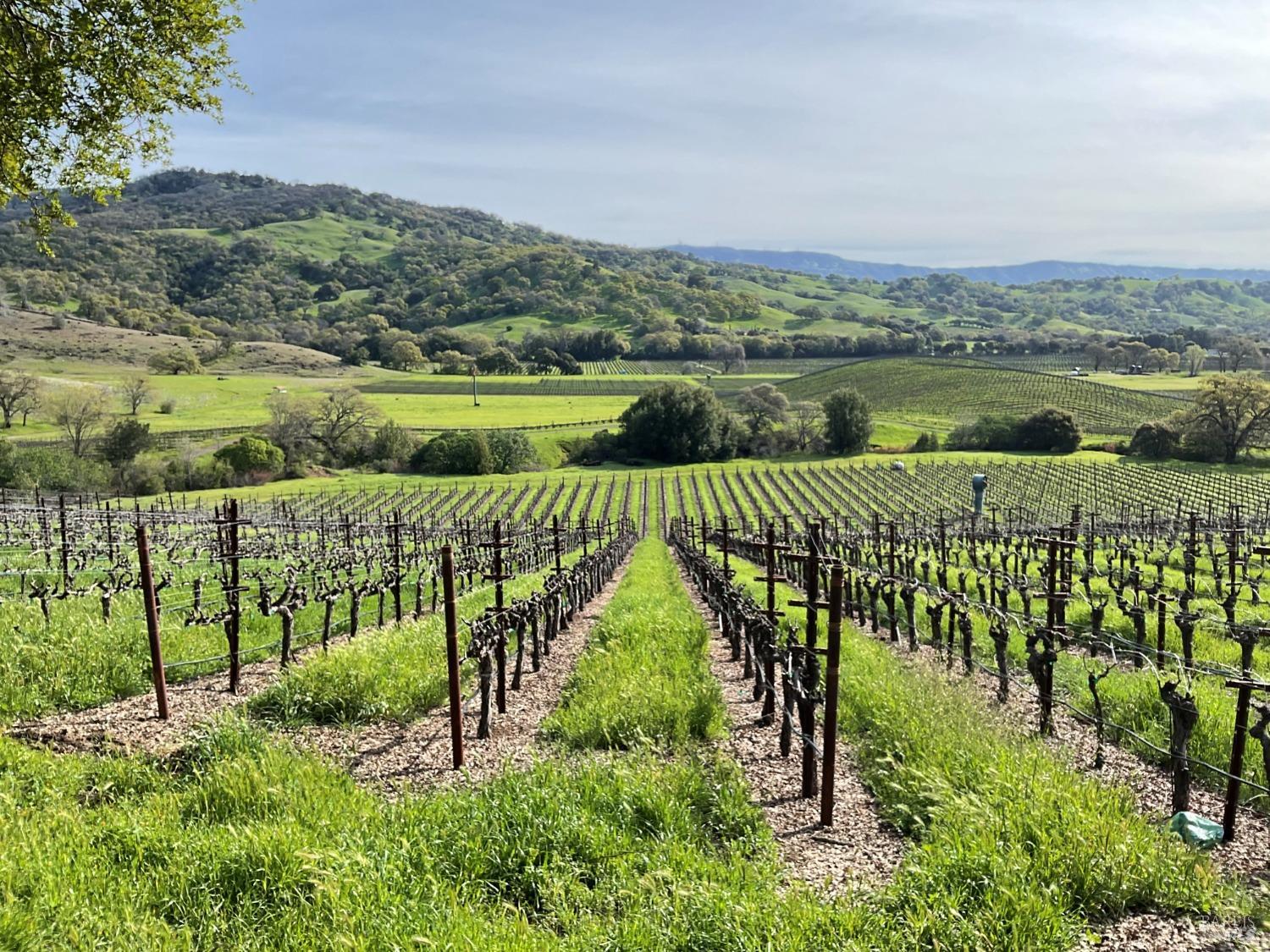 4060 Monticello Road Napa, CA 94558 - Photo 1 of 54