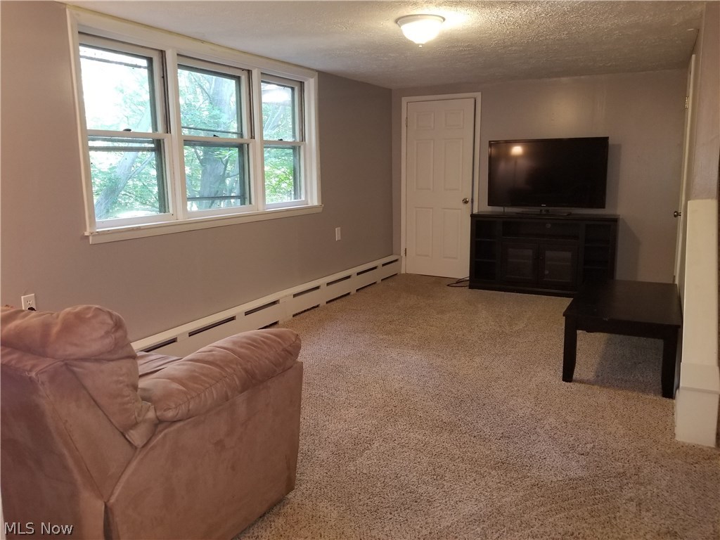 4563 South Ridge Road East Geneva, OH 44041 - Photo 16 of 21