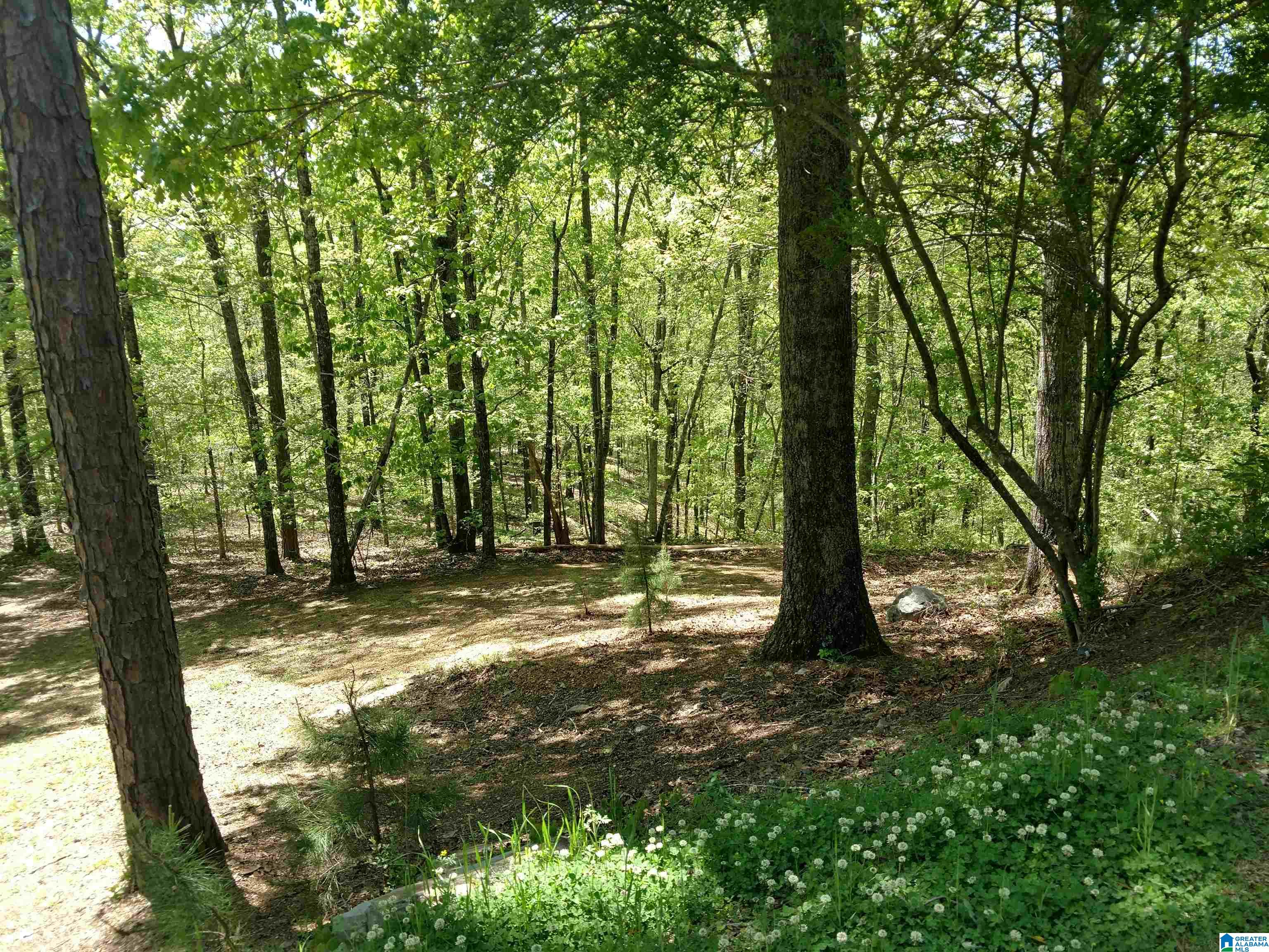 73 Doe Drive Springville, AL 35146 - Photo 5 of 35
