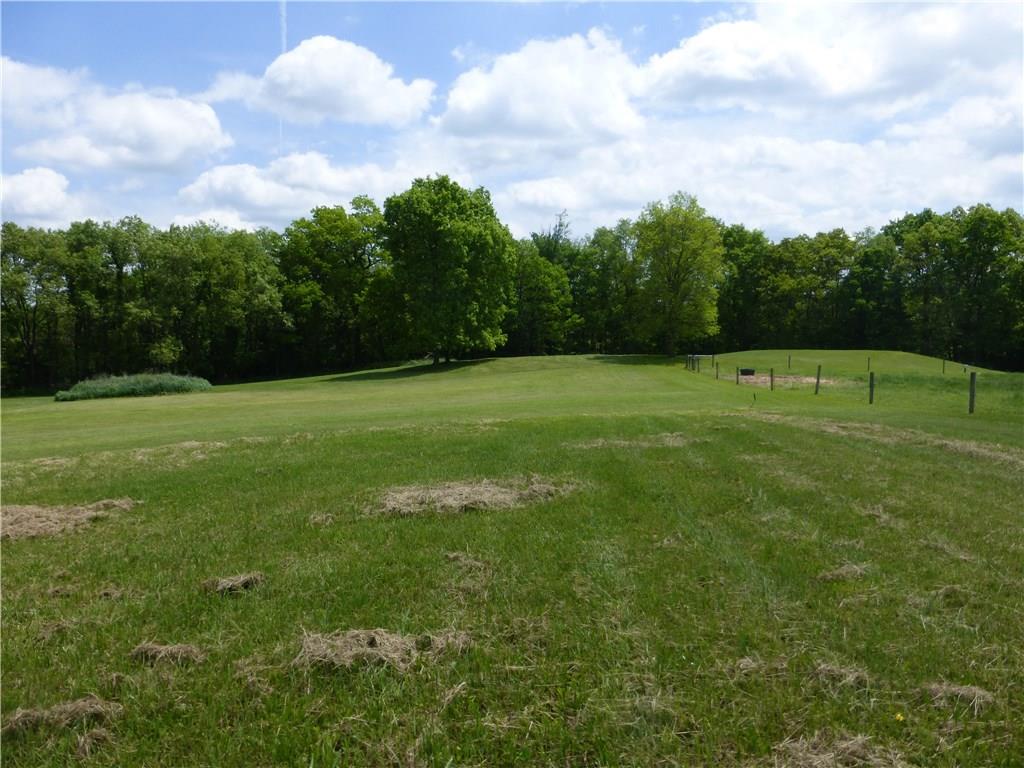 242 Reibold Road Renfrew, PA 16053 - Photo 4 of 14 a view of outdoor space with field and trees in the background