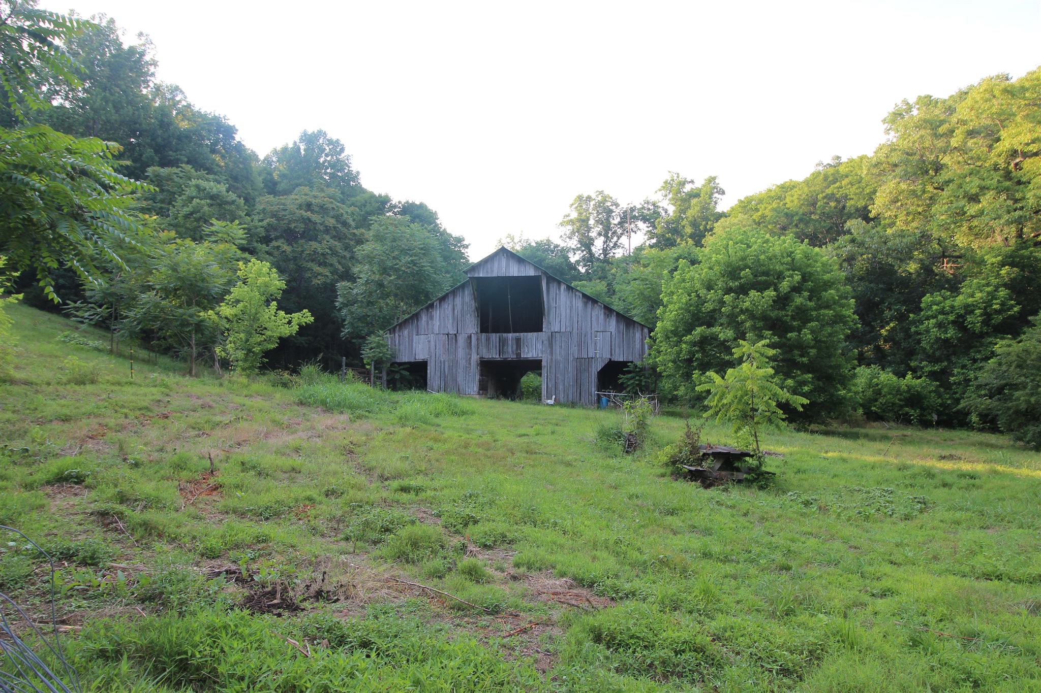 1445 Turkey Creek Road Dickson, TN 37055 - Photo 2 of 10 Gallery Image 2