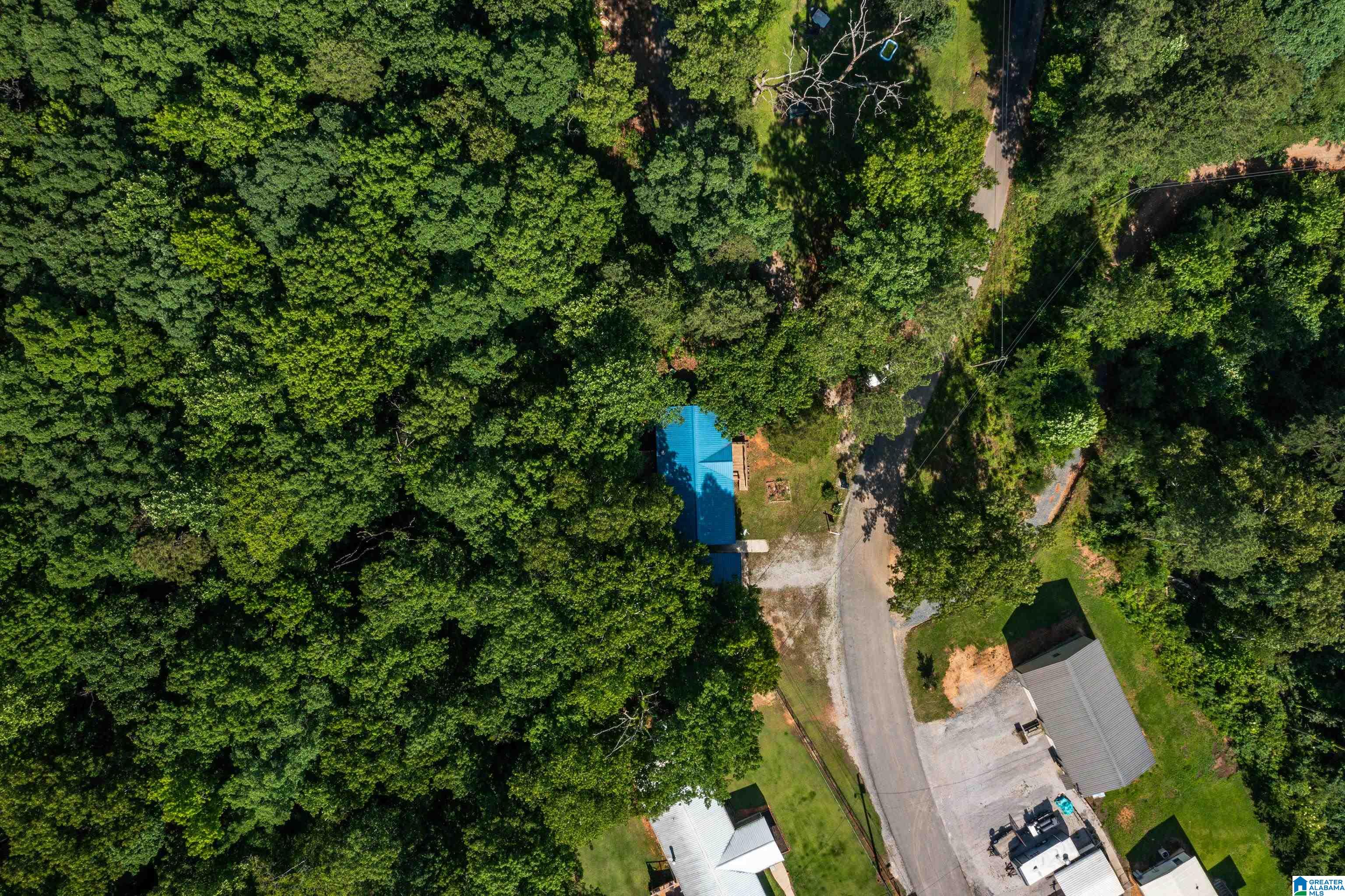 650 Davidson Drive Locust Fork, AL 35097 - Photo 54 of 55