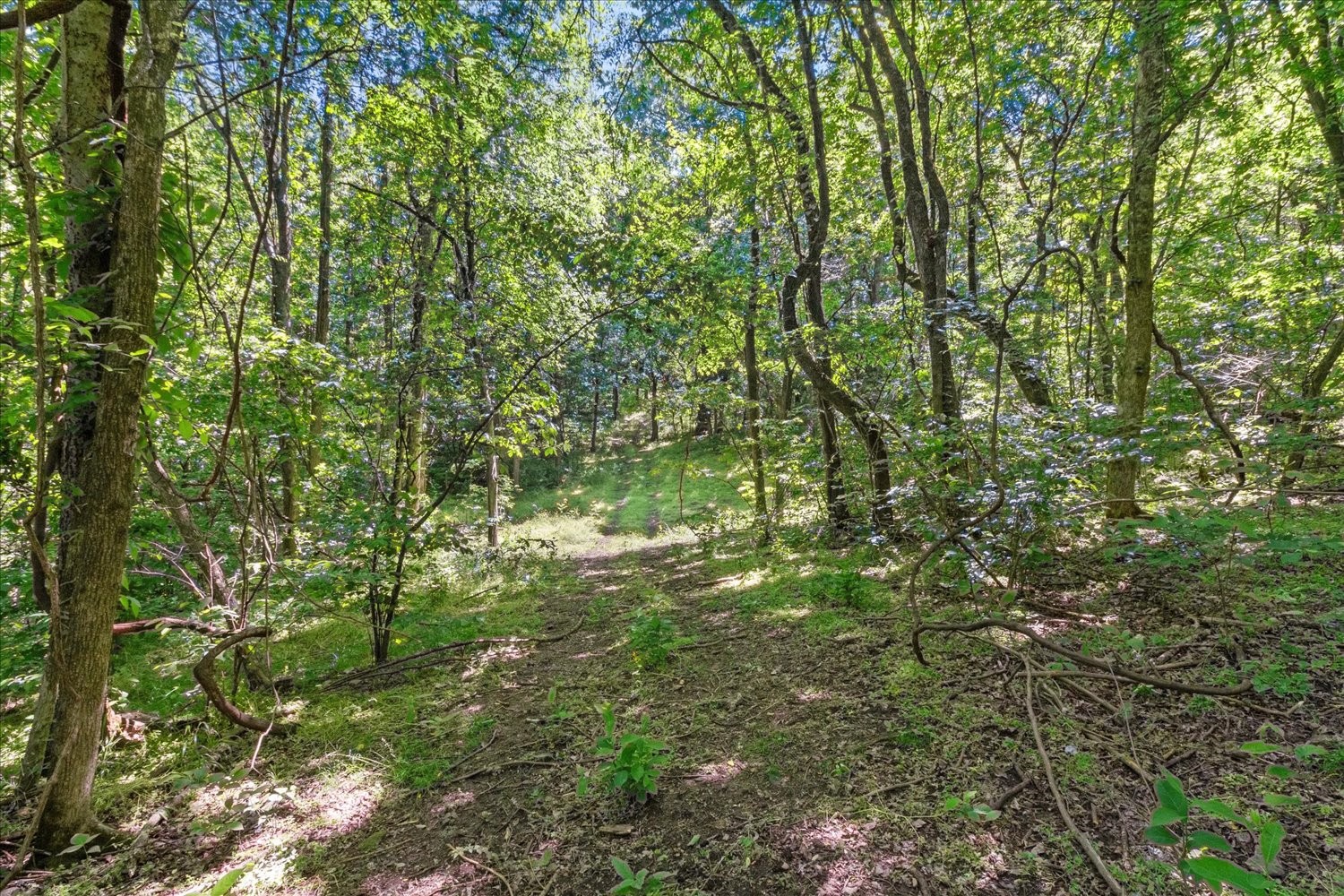 402 Cortner Hollow Road Petersburg, TN 37144 - Photo 39 of 54
