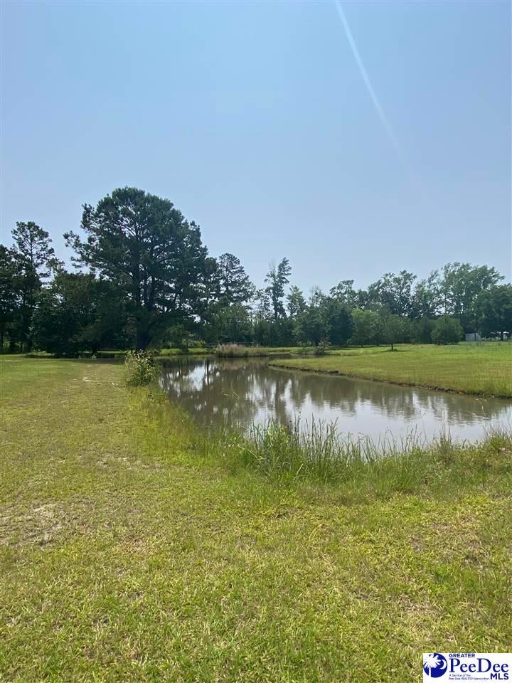 2266 Mack Arthur Road Mullins, SC 29574 - Photo 6 of 28 Gallery Image 6
