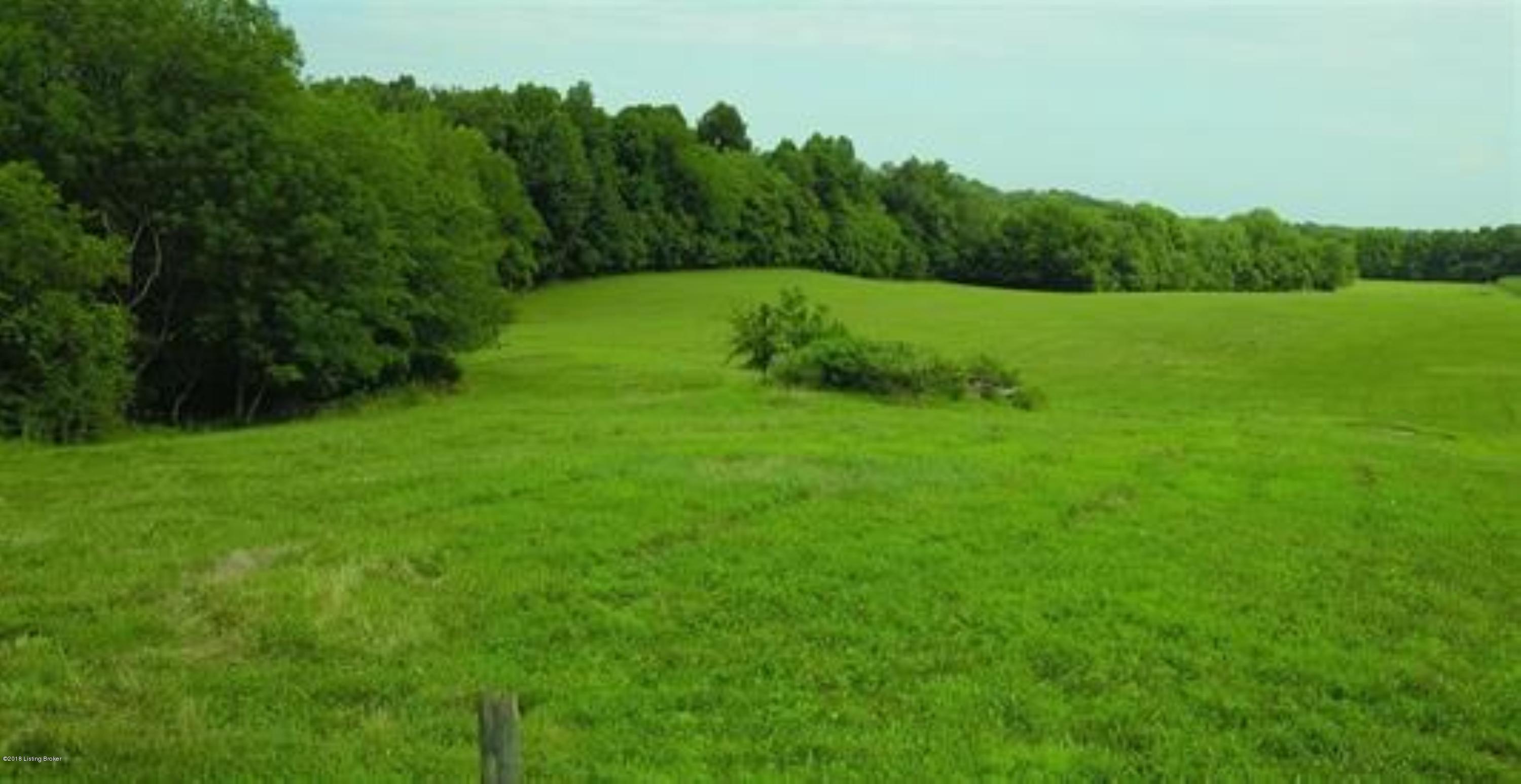 0 Hall Simpson Road Loretto, KY 40037 - Photo 2 of 15 10044337-1 (Custom)