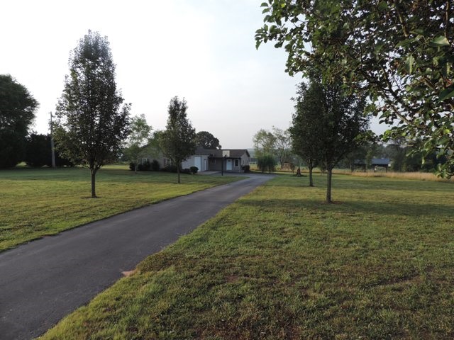 716 West Pine Grove Road Fair Play, SC 29643 - Photo 2 of 26 Gallery Image 2