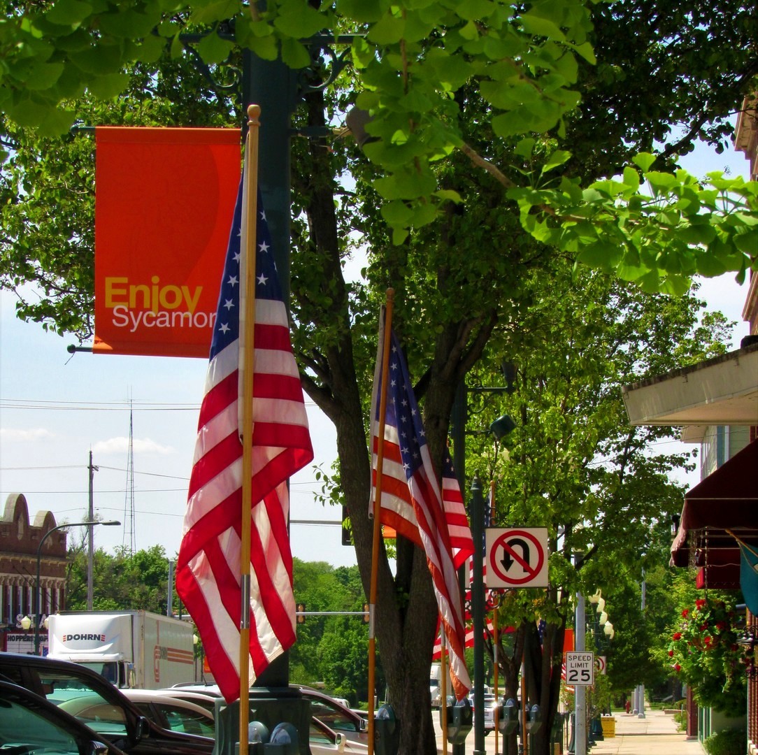 321 North Locust Street Sycamore, IL 60178 - Photo 36 of 38 an outdoor space with lots of trees