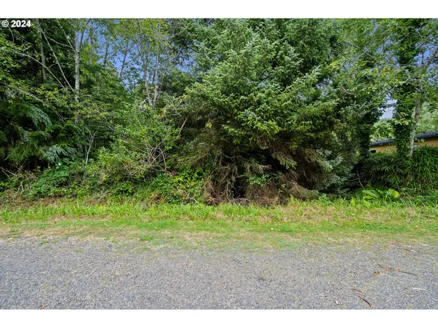 a view of a yard with a tree