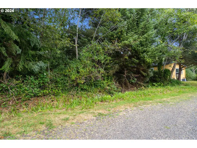 a view of outdoor space and yard