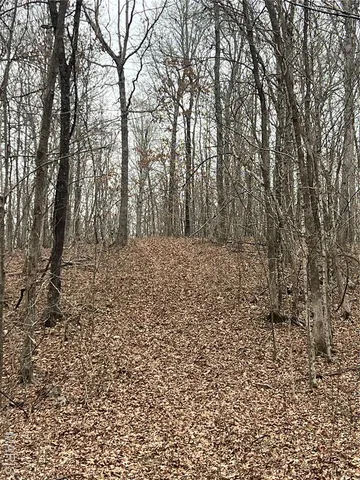 $135,000 | 3697 Poplar Bluff, Poplar Bluff, MO 63901