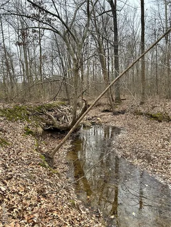 $135,000 | 3697 Poplar Bluff, Poplar Bluff, MO 63901