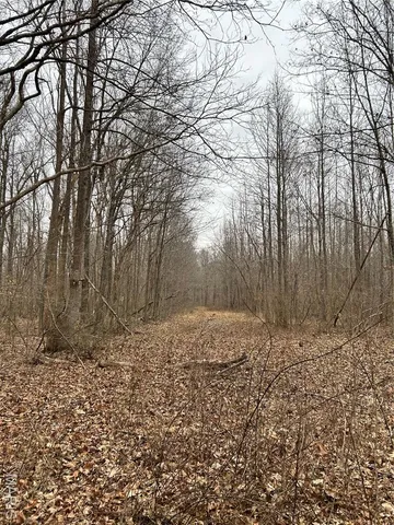 $135,000 | 3697 Poplar Bluff, Poplar Bluff, MO 63901