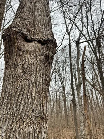 $135,000 | 3697 Poplar Bluff, Poplar Bluff, MO 63901